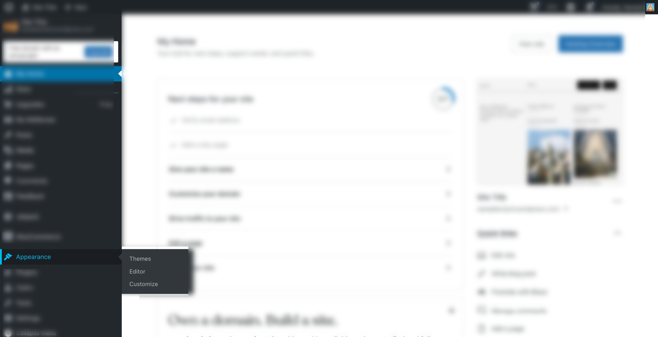 How to Remove Page Title in Wordpress