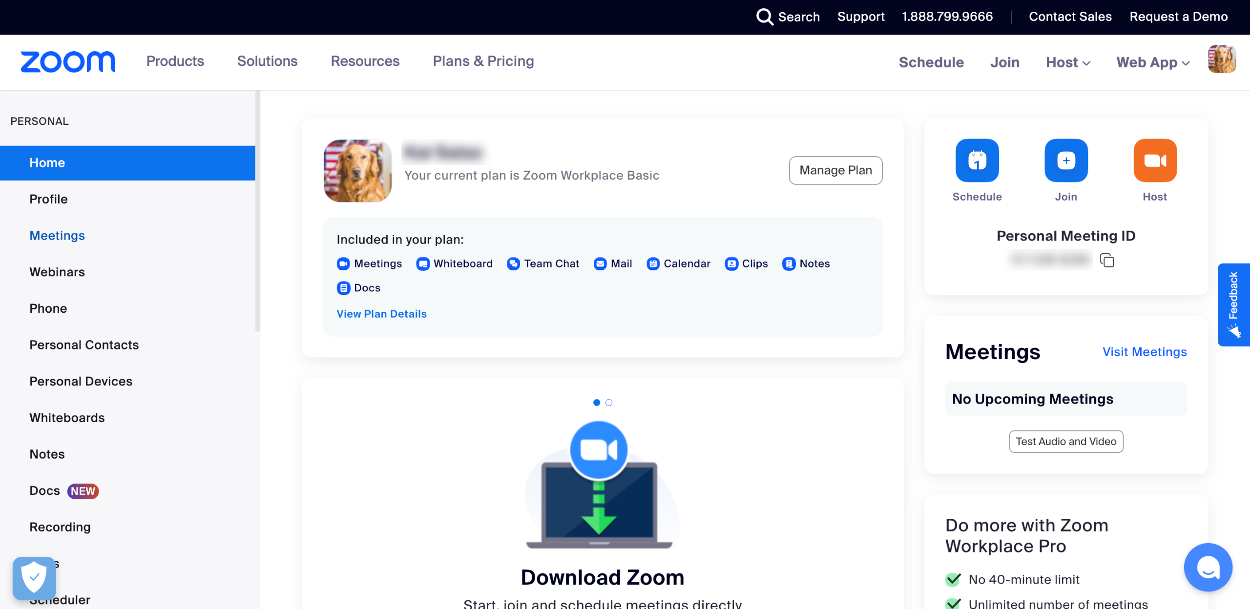 How to Check the Zoom Meeting History