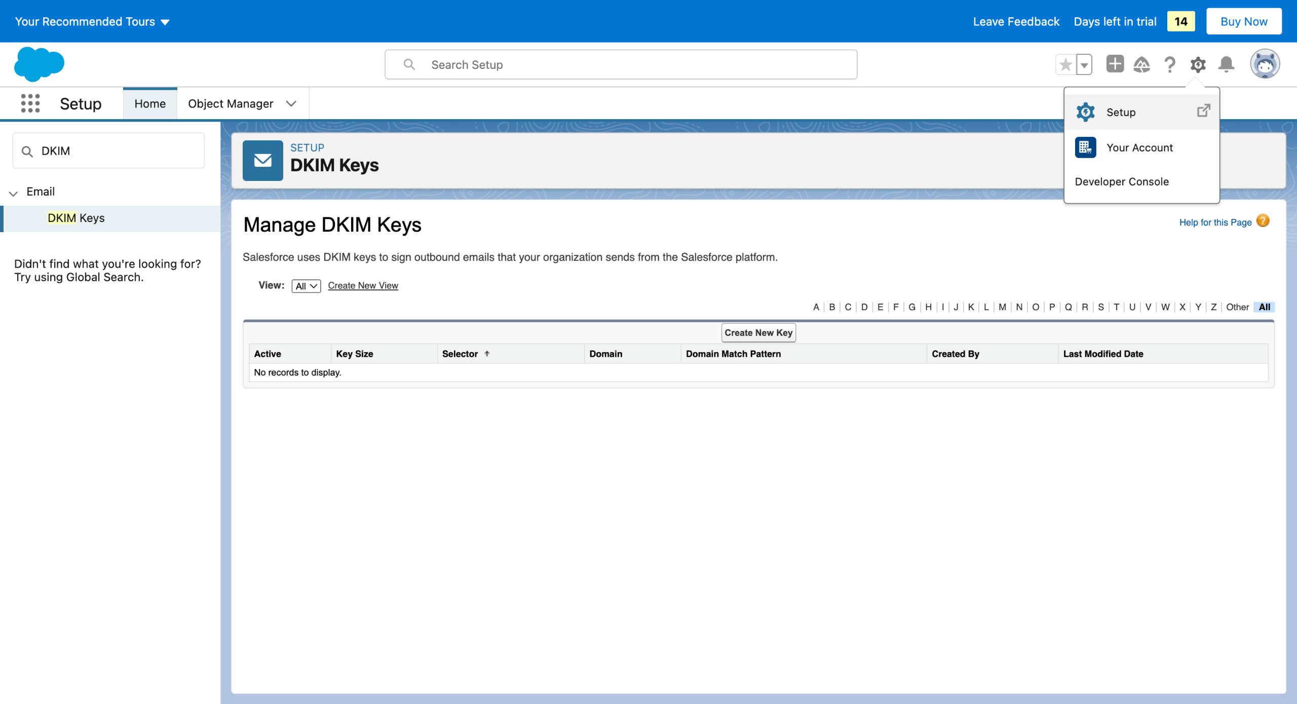 Salesforce - How to Activate DKIM Key in Salesforce