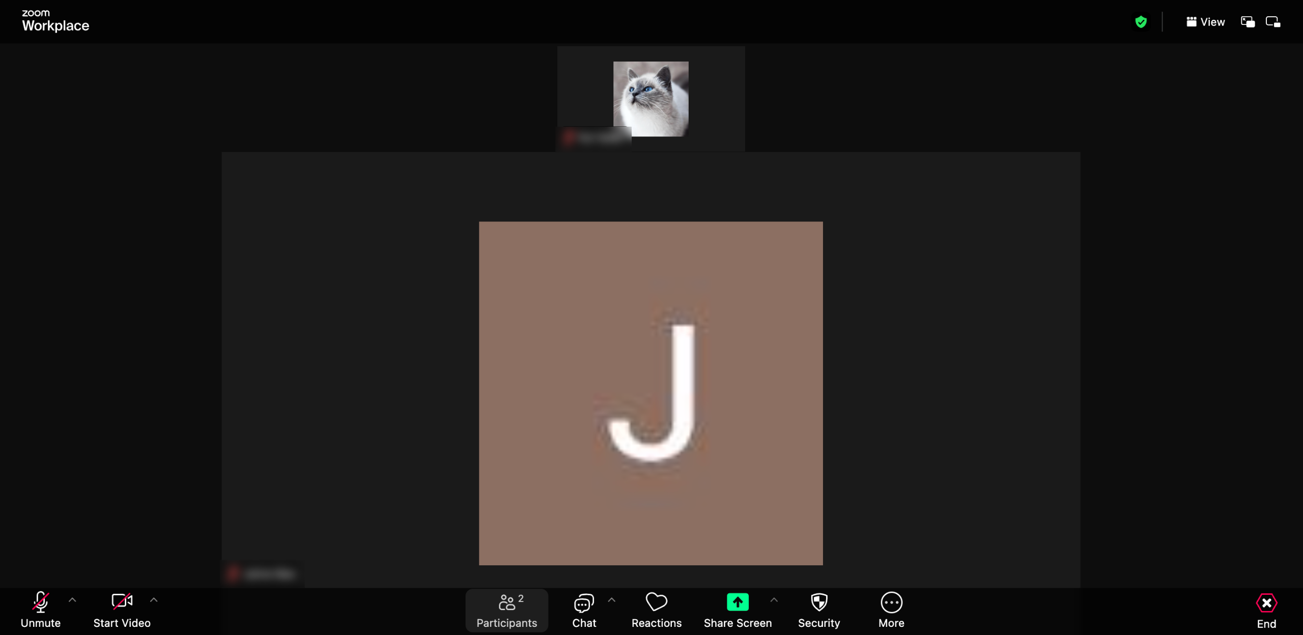 How to Make Someone Else a Host on Zoom