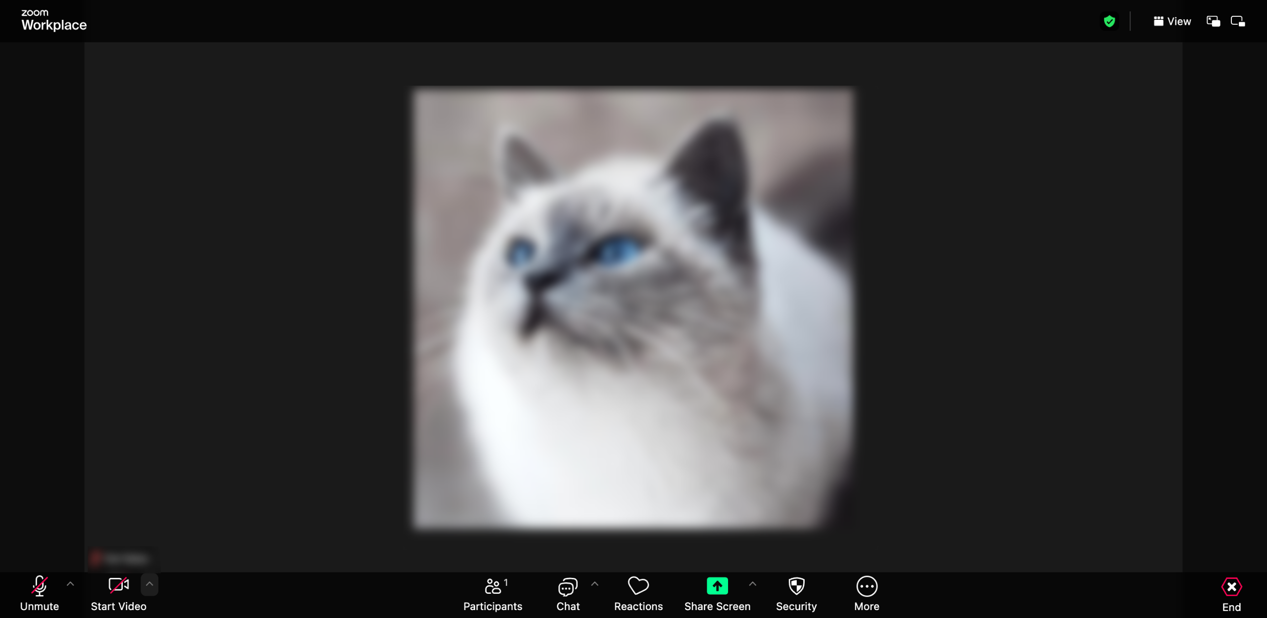How to Flip the Camera on Zoom