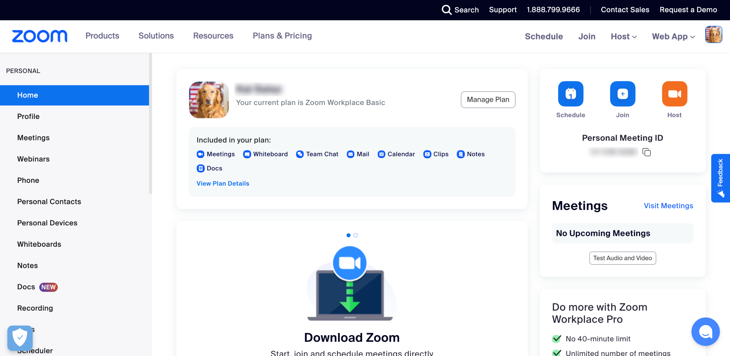 How to Remove the Zoom Account on iPhone