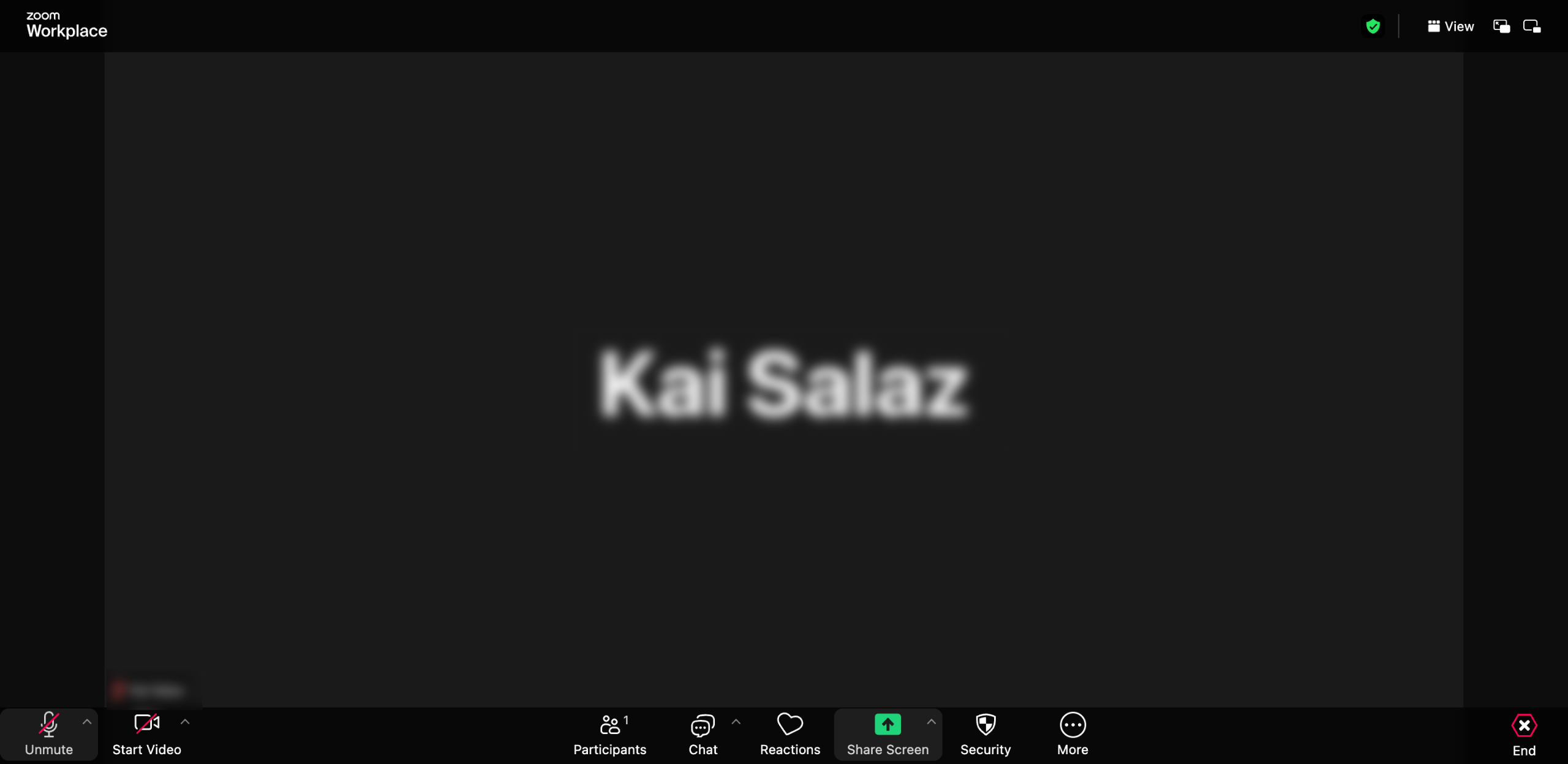 How to Share the Audio on Zoom