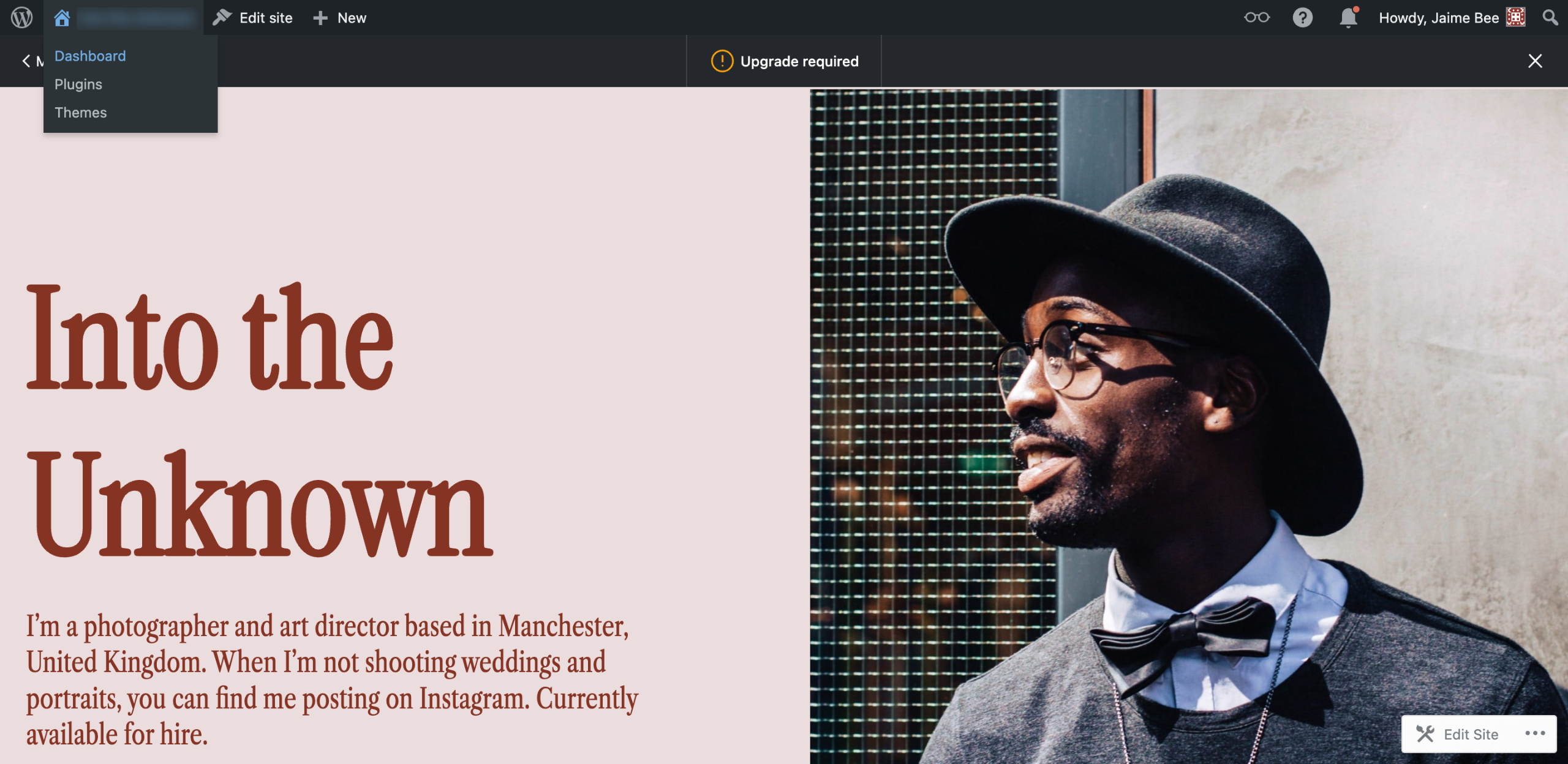 How to Check the WordPress Version