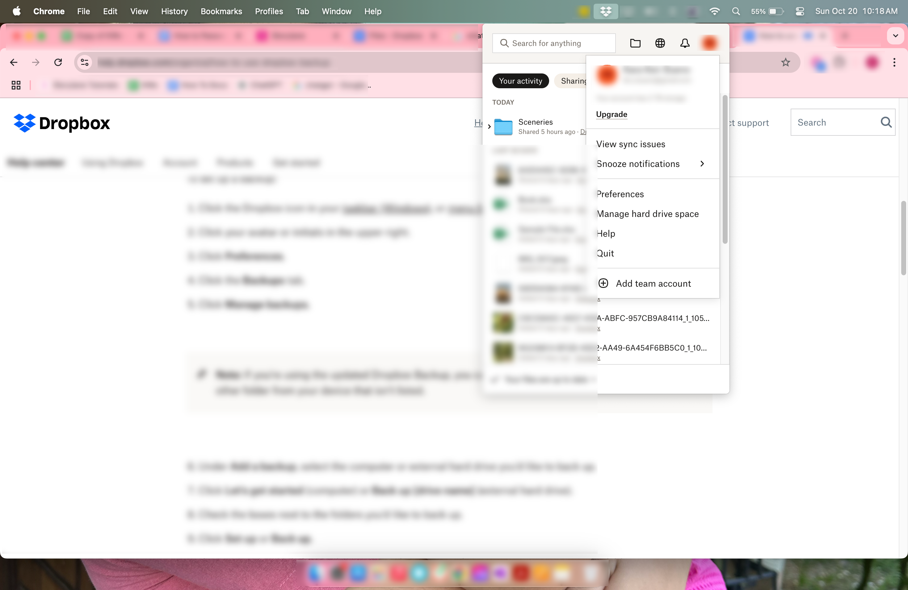 How to Backup Dropbox